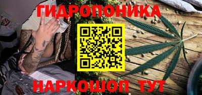 таблы Новозыбков