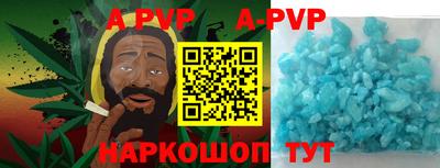 таблы Новозыбков