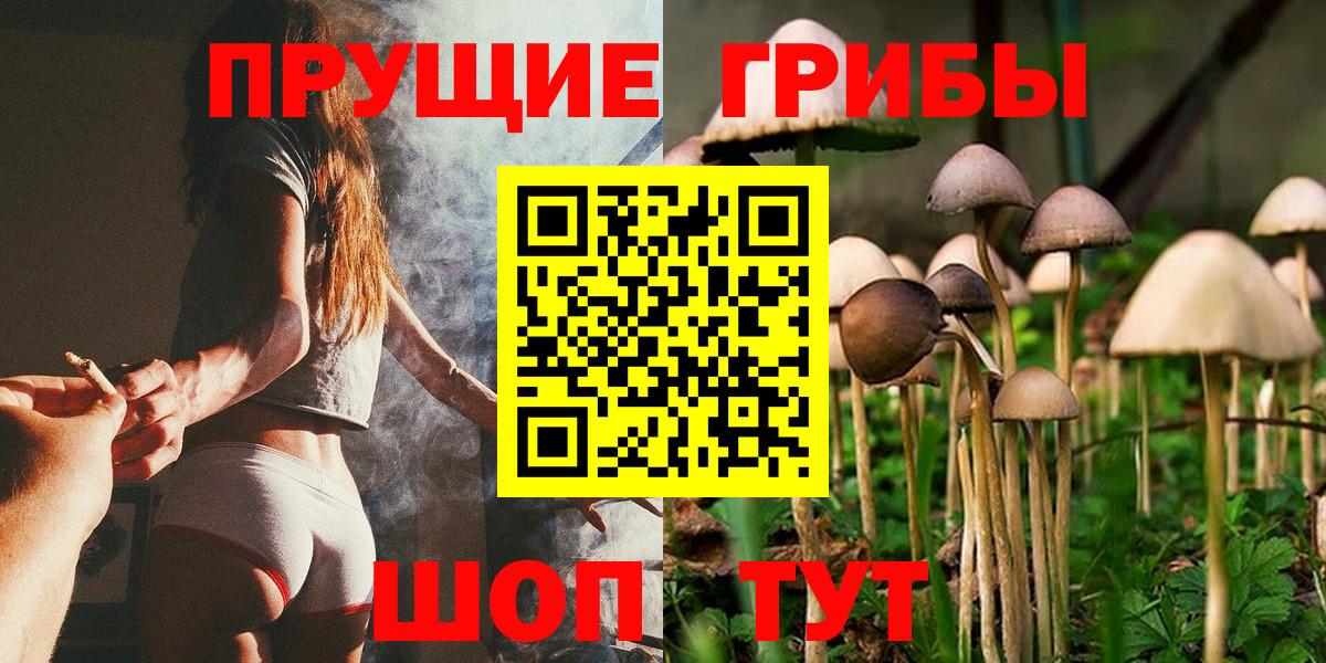 Чайковский  Псилоцибиновые грибы MAGIC MUSHROOMS  Вход с VPN 